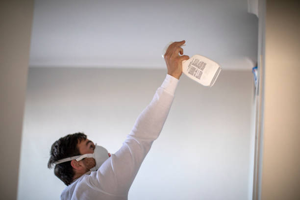 Best Crawl Space Mold Removal  in Epworth, IA